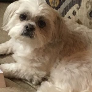 Meet your Posher, Robin